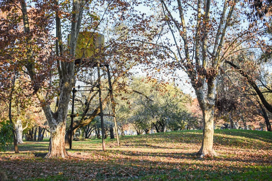 Entre e Neste: O Futuro do Talento Tecnológico em Debate — Empresas
