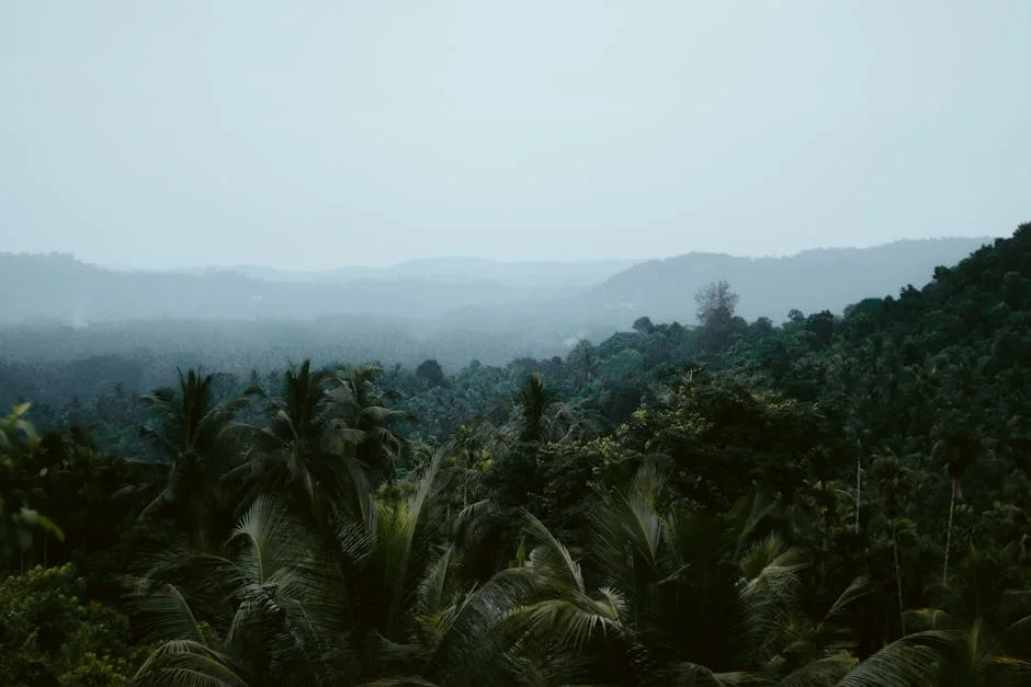 Ernakulam Inicia Iniciativas Ambientais Comunitárias Em Abril — Empresas