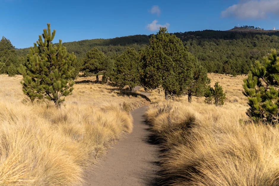 Eskom alerta para cortes de energia: dívida municipal ultrapassa R110 bilhões — Empresas