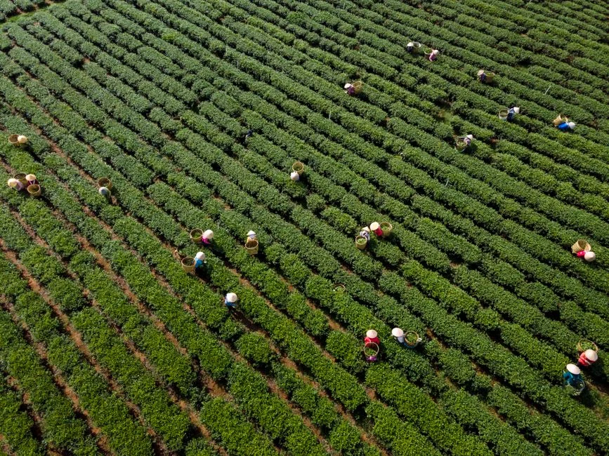 Especialistas elogiam aposta verde da China para enfrentar crise energética global — Energia