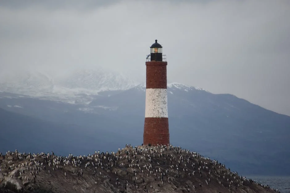 Estado confirma explosões em engenhos em Nova Iorque: o que isso significa para os mercados? — Empresas
