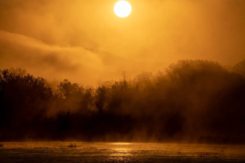 Estreia de ‘Leonor, Marquesa de Alorna’: Implicações para o Mercado Audiovisual em Portugal — Empresas
