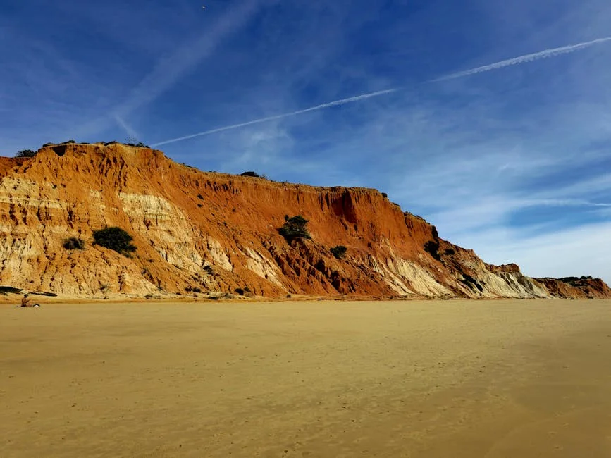 Estudo revela que agricultura do Algarve gera 811 milhões, mas 'perde' metade — Empresas