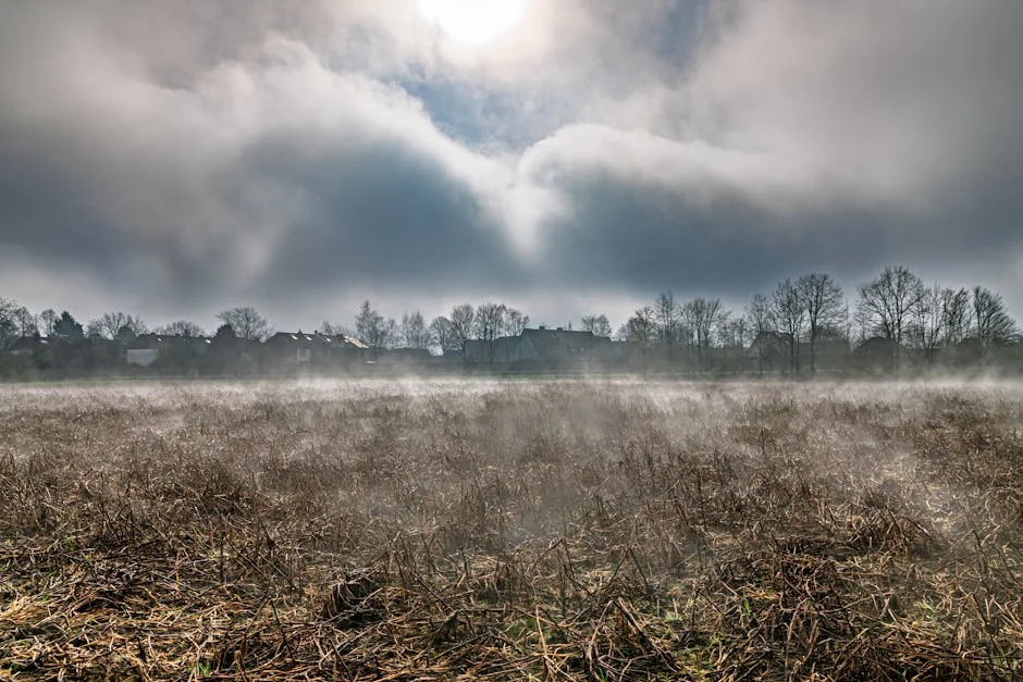 Europa Regista Temperaturas Extremas — Impacto Previsível em Portugal — Agricultura