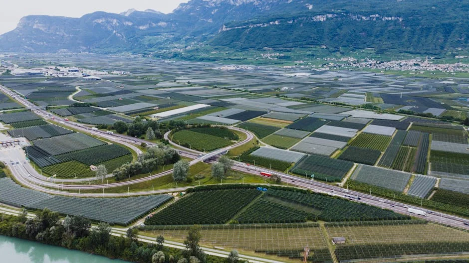 Uma Perspectiva Inovadora sobre a Economia — BlurryBay