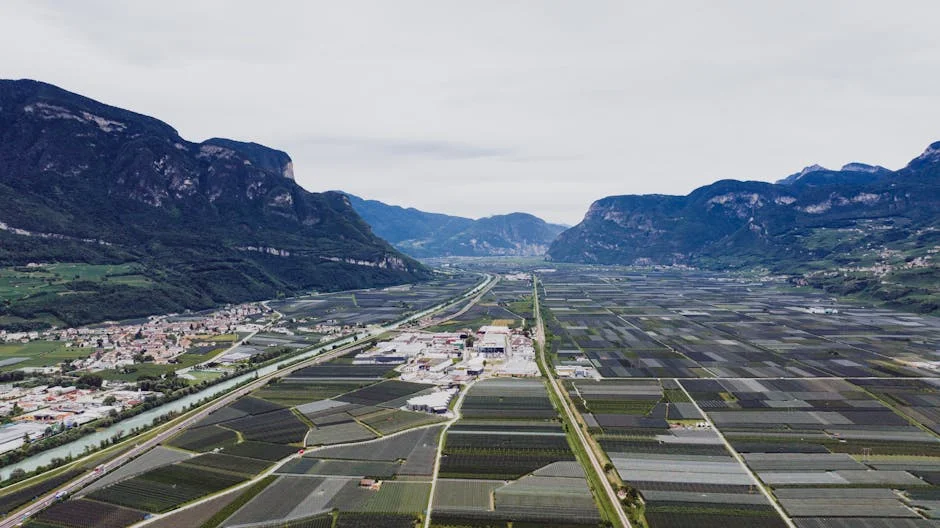 Uma Nova Perspectiva sobre Economia — BlurryBay