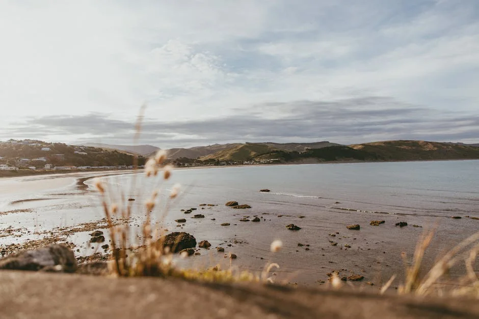 Farioli Atualiza Situação de Lesões: Kiwior Pode Ser Titular na Próxima Jornada