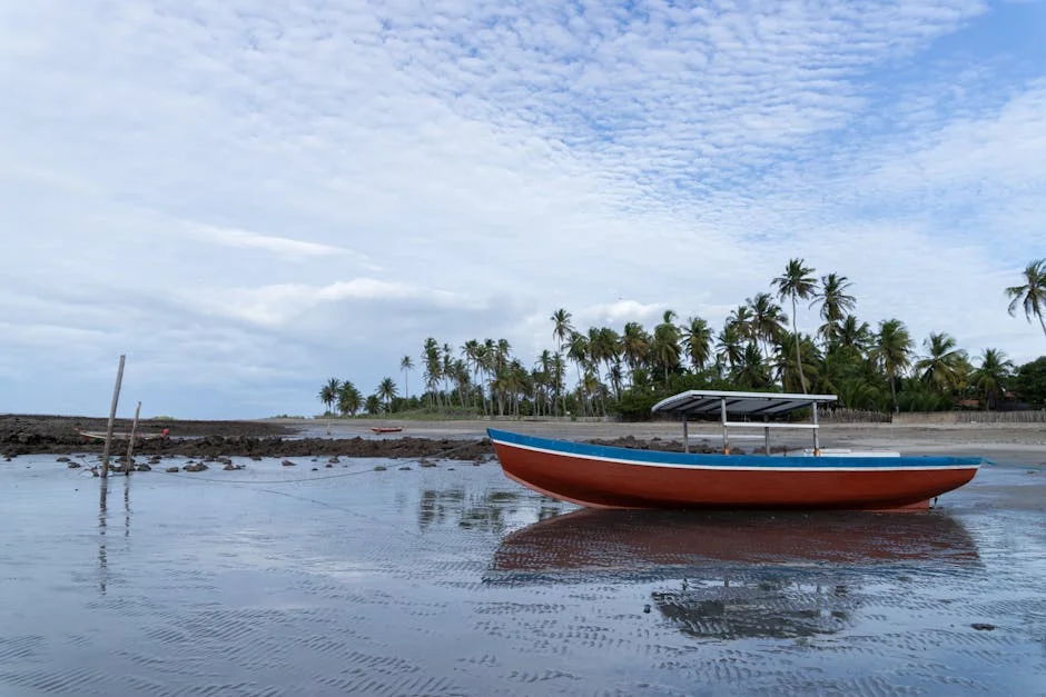 Farioli confirma Borja Sainz como titular e revela que Martim está recuperado — Empresas