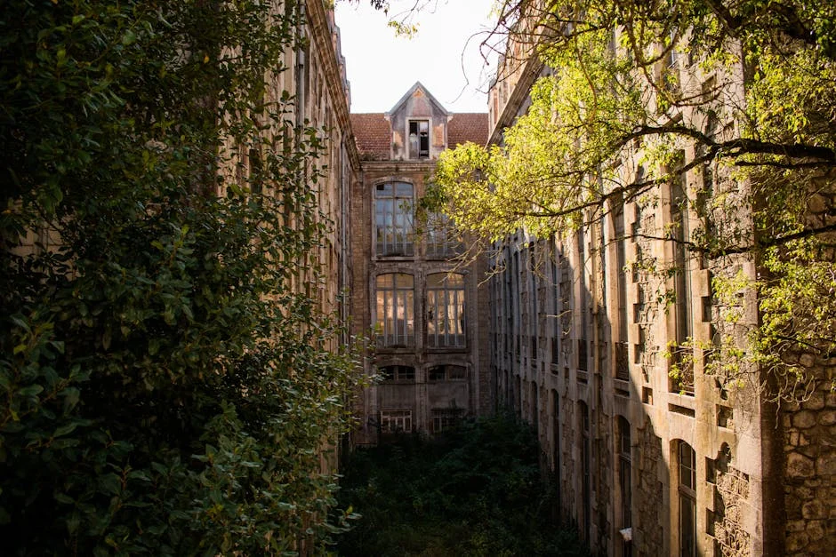 Feirantes de Leiria protestam contra mau tempo: o impacto no comércio local — Empresas