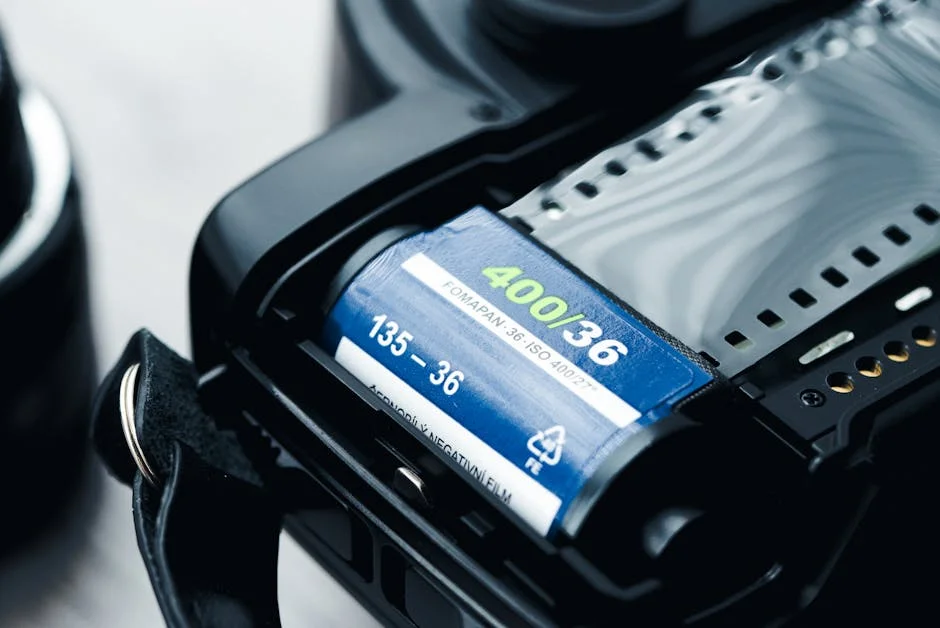 Filme 'Cativos' de Luís Alves conquista grande prémio no Fantasporto — impacto no setor cultural