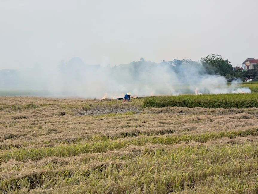 Futebol Clube decide: all-in na Taça ou foco na liga? — o que isso significa para Portugal — Empresas