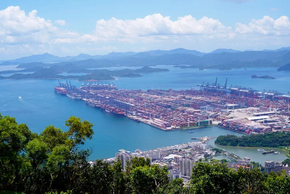 Gcr Confirma Classificações da African Export-Import Bank: O que Isto Significa para o Mercado — Empresas