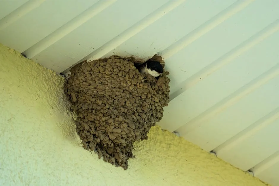 Giga Chad e a Nova Armadura Digital: O Impacto da Neste em Portugal — Empresas