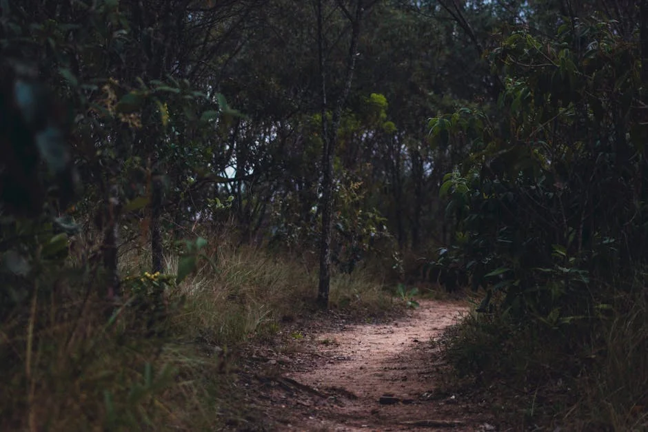 Gonçalo M. Tavares conquista o prémio Formentor das Letras 2026 — o que isso significa para a literatura em PT — Empresas