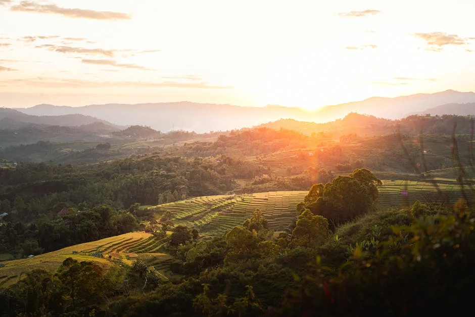 Governador Zulum Condena Airstrike na East Market — Vítimas Incluem Civis — Empresas