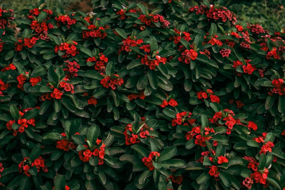 Governo de Karnataka revela projetos de saúde e turismo para Mysuru — impacto no mercado em análise — Empresas