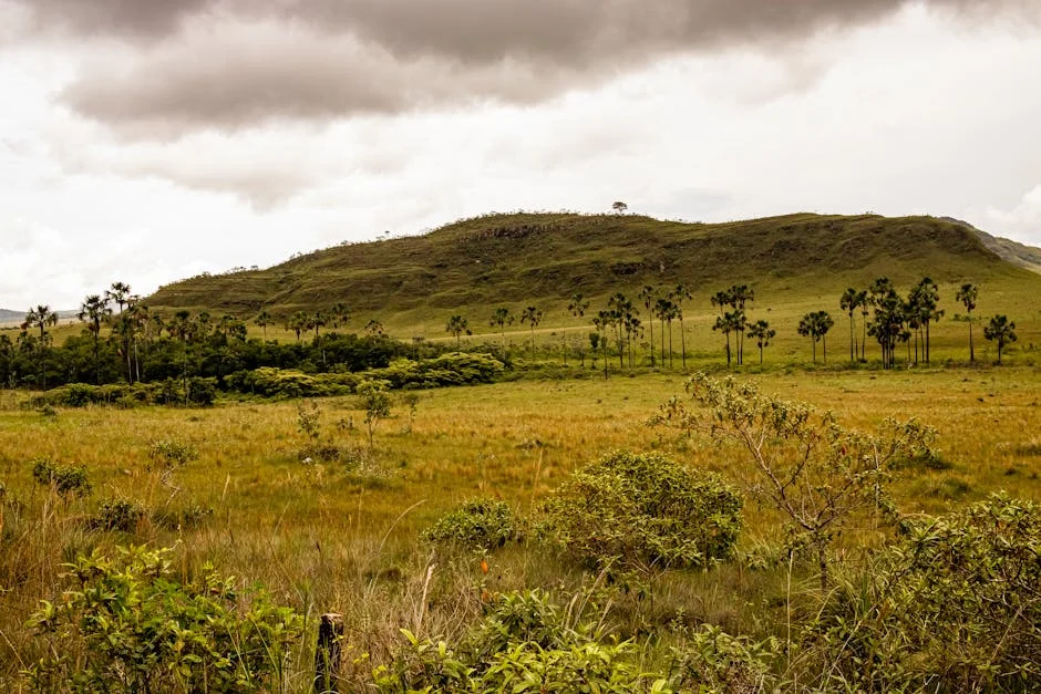 Governo enfrenta protestas contra pacote laboral em Lisboa — Empresas