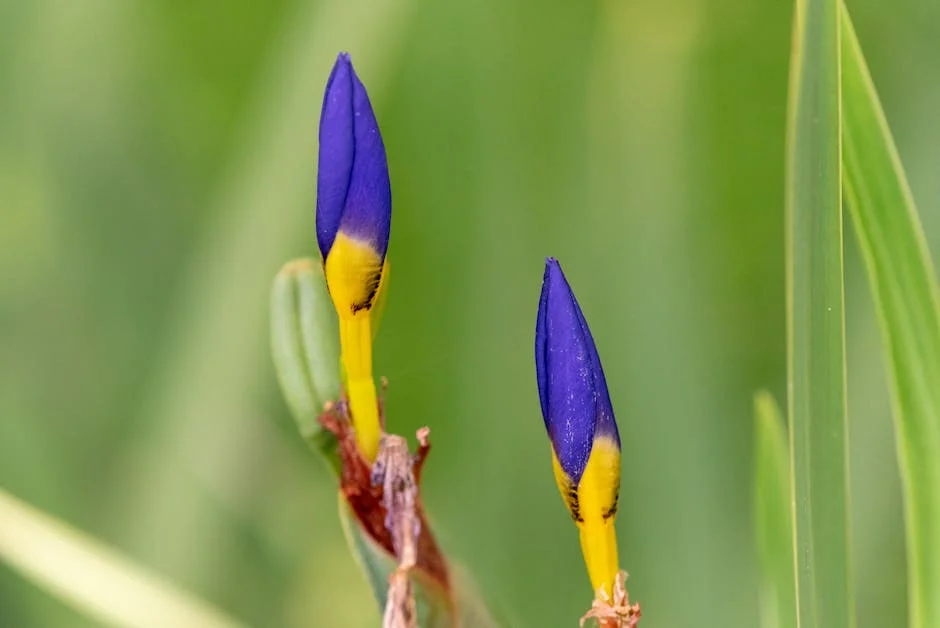 Governo Português critica reforma da PAC: um ‘disparate completo’ para agricultores — Empresas