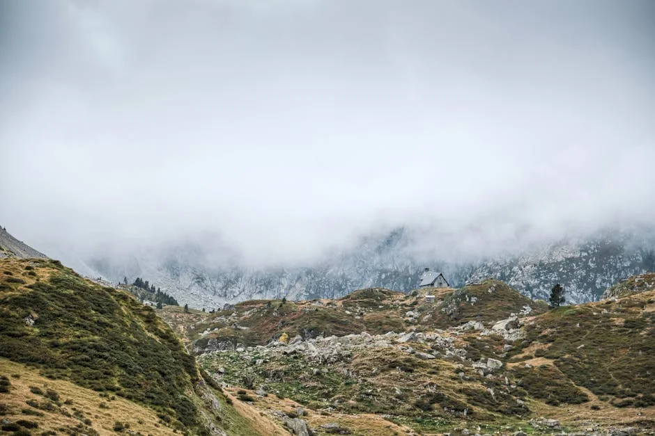 Governo recebe 29 pedidos de ligação à rede elétrica: impacto nas empresas e investidores — Empresas