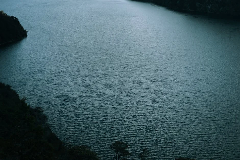 Governo sul-africano intervém para salvar empregos na Tongaat Hulett e ArcelorMittal: o que isso significa — Politica