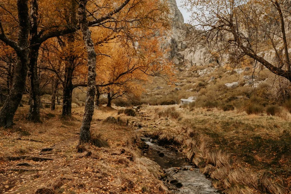 Guarda Costeira Cubana Abate Quatro em Lancha Americana: Consequências Econômicas — Empresas