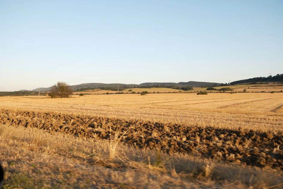 Guerra no Médio-Oriente encarece a agricultura marroquina — Europa
