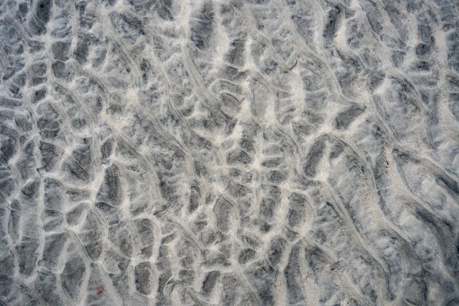 Harry e Meghan Realizam Viagem Humanitária à Jordânia: Impactos Econômicos — Empresas