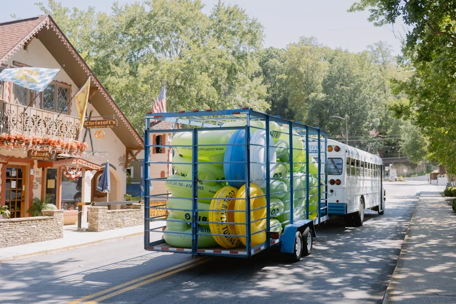 Helen Zille Adverte Contra Políticas Baseadas na Raça em Portugal — Politica