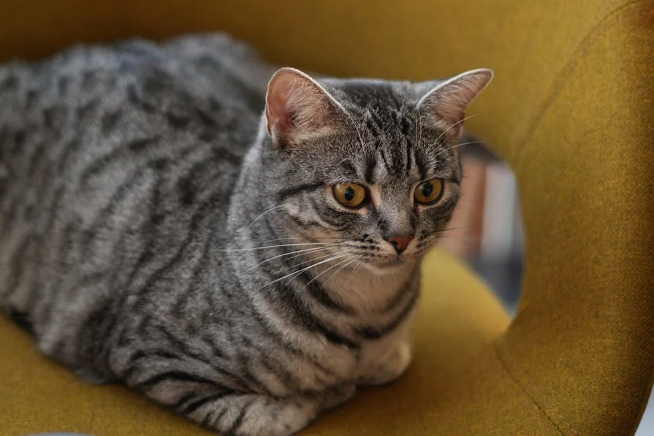 Helena Vieira da Silva Pintura Vai a Leilão na Christie's em Paris — Empresas