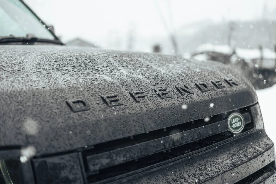 Heyneke Meyer e Allister Coetzee trazem pedigree Springbok à Currie Cup: o que isso significa — Empresas