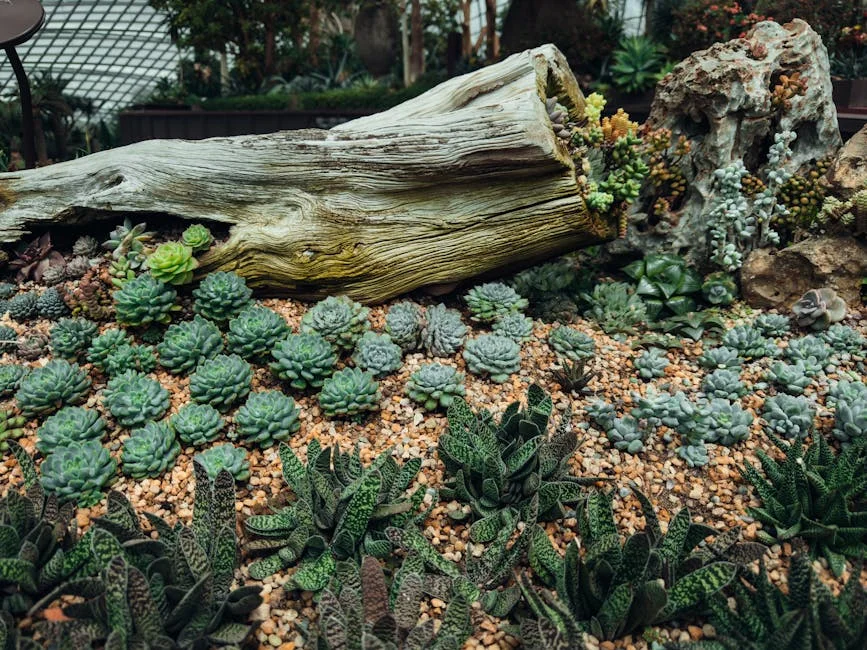 Hwachae revela abuso invisível em Singapura - o que significa para os negócios e economia?