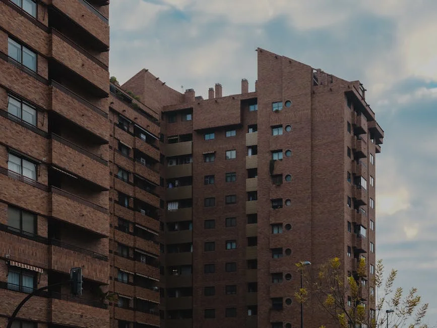 Hypermotion revela novo formato para Real Zaragoza - UD Almería: como isso afeta o mercado de futebol