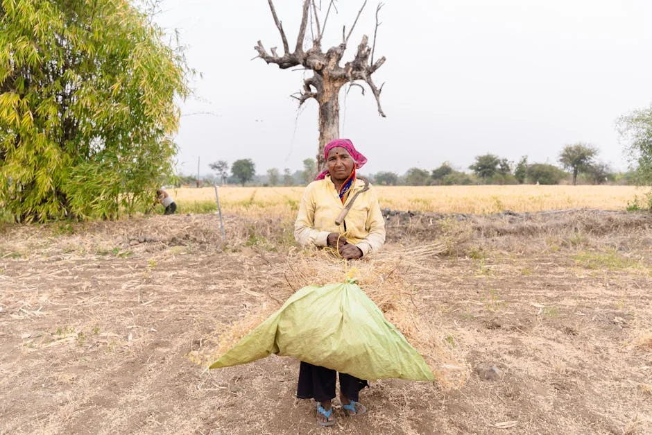 Incêndio em Fábrica Química de Bharuch Fere 16 Trabalhadores — Impacto Local — Empresas