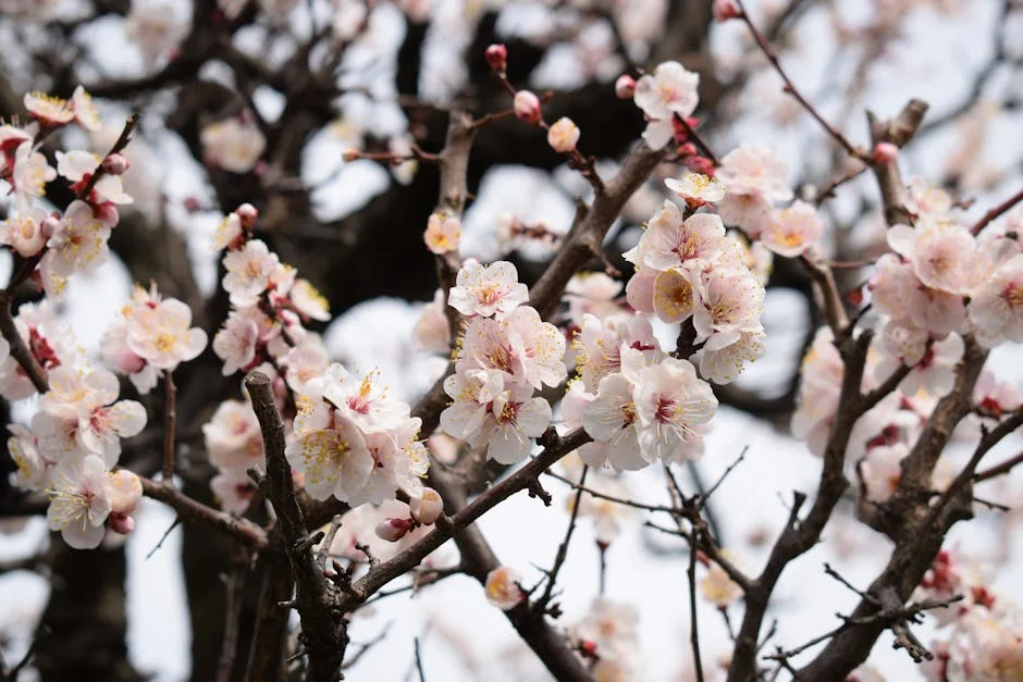 Incêndio na Ajuda Destrói Carros e Levanta Preocupações Económicas — Empresas