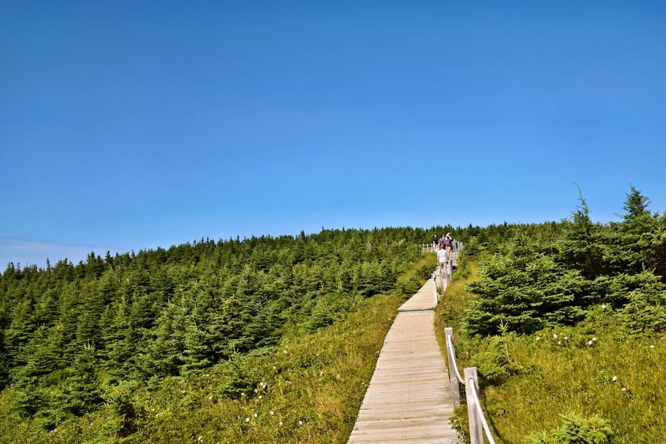 Indiana Fever Anuncia Nova Expansão na Liga Feminina de Basquete
