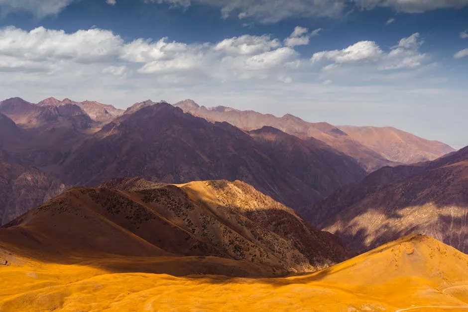 Indstria Alas Instalao Mdica 2019 de Crescimento do Mercado Global Dimenso Quota a Demanda Tendncias e Previses Para 2025 — mercados