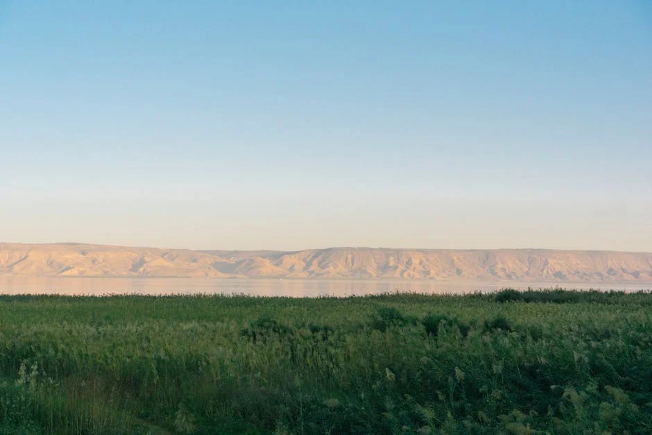 Israel rejeita acusações de miscalculation de Teerão após ataques de março — Empresas