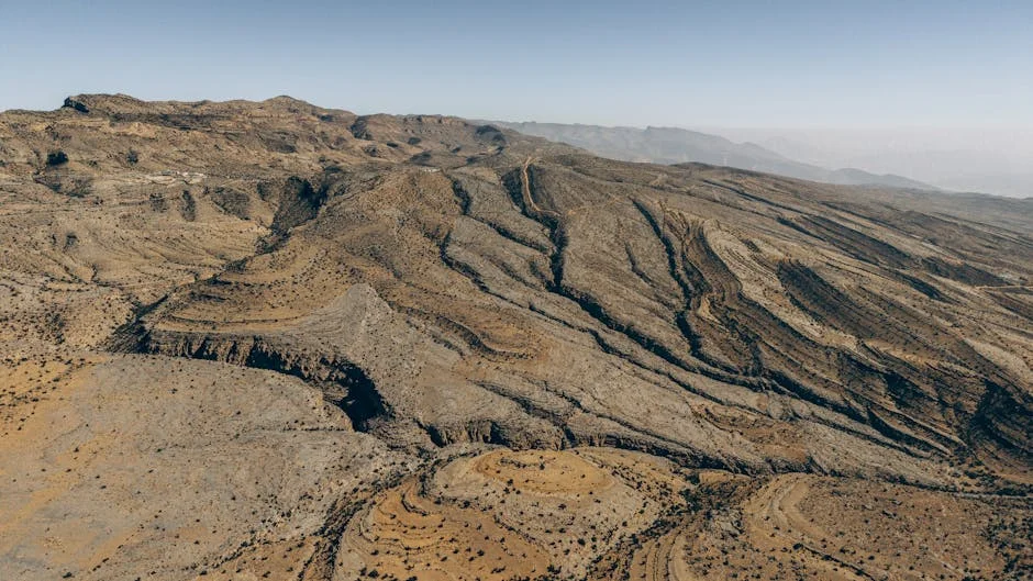 Kenneth Mohammed The rejeita apelo de 15 países africanos — Empresas