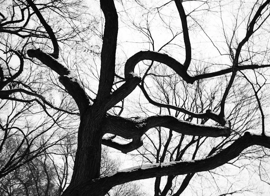 Levine Revela Preocupação com Orçamento de Mamdani: Nova Iorque Gasta Mais do que Arrecada - As Implicações Económicas — Empresas