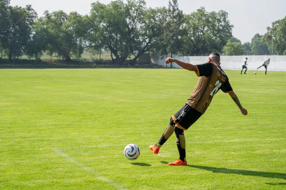 Limpopo Youth League exige nomes para cargos de prefeitos