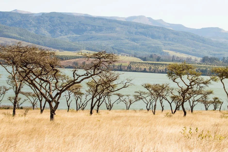 Malema Confirma Visita a Fazenda de Msibi, Negando Vínculos Criminais — Politica