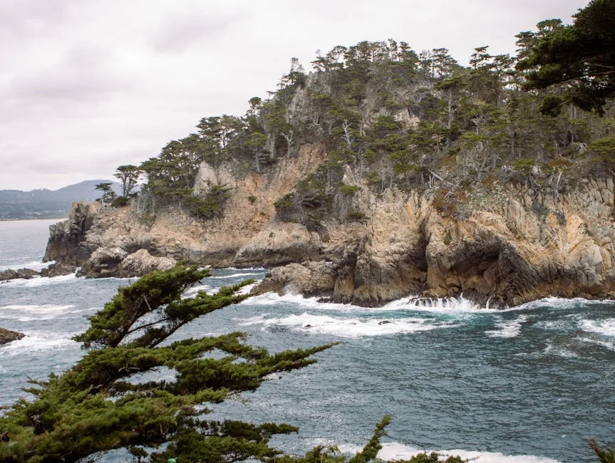 Marcelo homenageia Lobo Antunes com grande-colar da Ordem de Camões — impacto cultural e econômico — Empresas