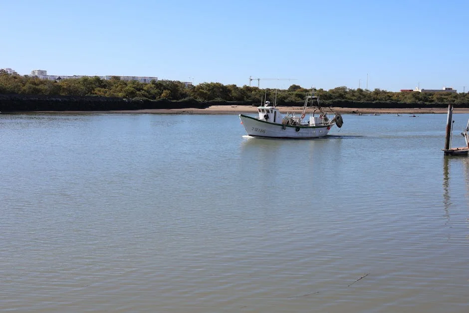 Marina Critica Governo: Novo Pacote Fiscal Aumentará Preços em Portugal — Empresas