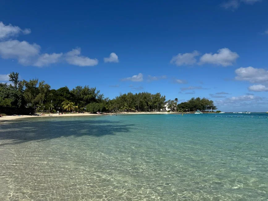 Mauritius Reveal Gateway Potential for Expansion Beyond África do Sul - Oportunidades Económicas Expostas — Empresas