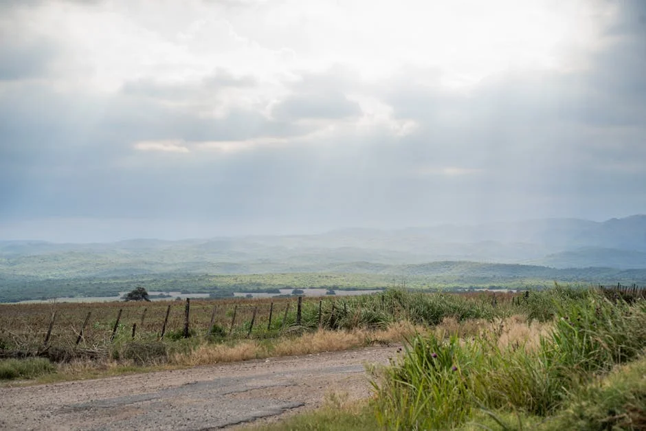 MDS confirma aquisição de 50,1% da Seguramos: impacto para o mercado português — Empresas