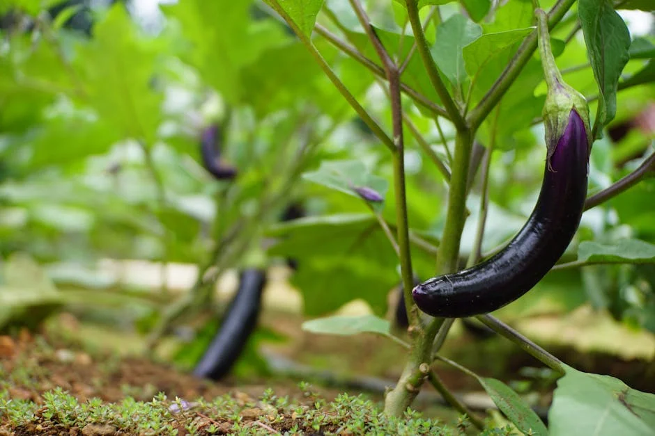 Mercado Extrato de Folhagem 2024 Tendencias e Crescimento Segmentacao e Empresas Chave — empresas
