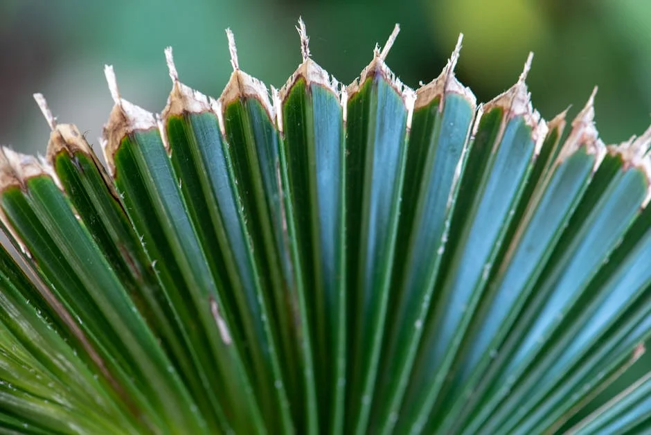 Mercado Folha de Isolamento a Vacuo 2022 Participacao Tamanho Tendencias Futuras e Previsao Para 2028 — mercados