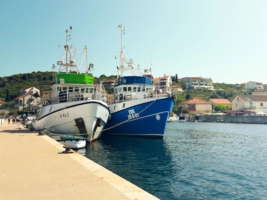 Mercado Offshore Rov 2020 Por Fabricantes Dinamica Tipo Tamanho e Aplicacao Previsao Para 2025 — industria