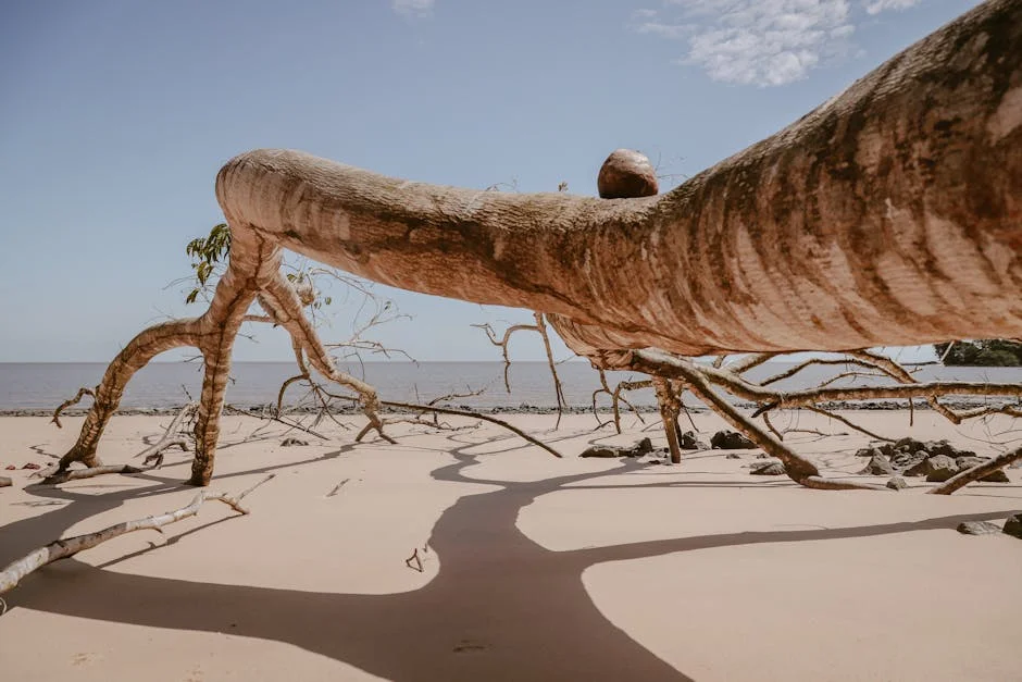 Mercado Sombra 2020 Por Fabricantes Dinamica Tipo Tamanho e Aplicacao Previsao Para 2025 — industria