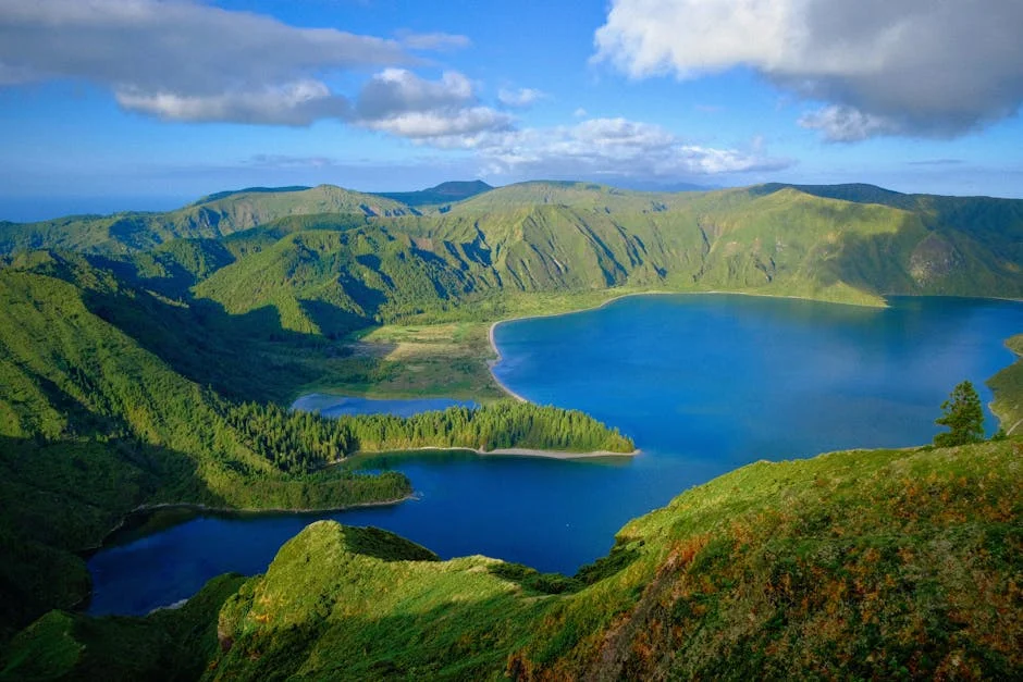 Miguel R: Espião da Rússia ou Mentiroso Compulsivo? Análise em Caparica — Empresas